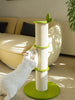Bamboo Shaped Cat Scratching Post test