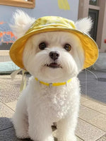 ff581e374ebb48e3ade68f68b7a664c7-Max-Origin